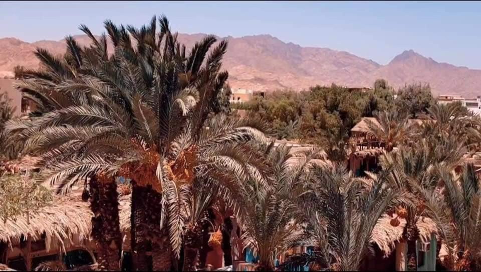 A5Ena House Villa Dahab Kültér fotó