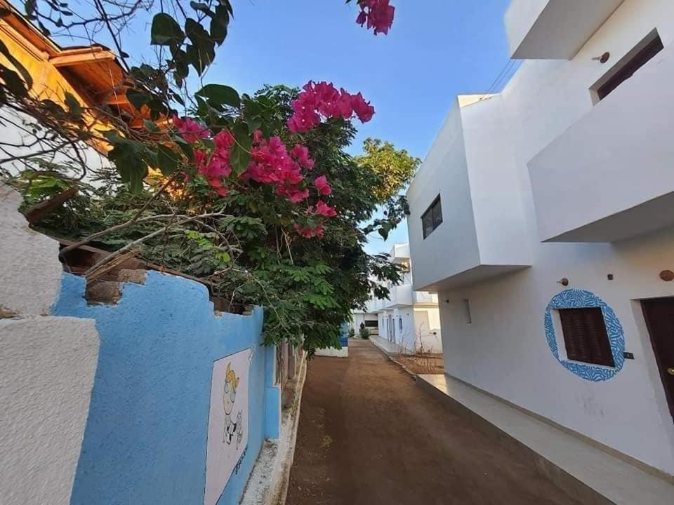 A5Ena House Villa Dahab Kültér fotó